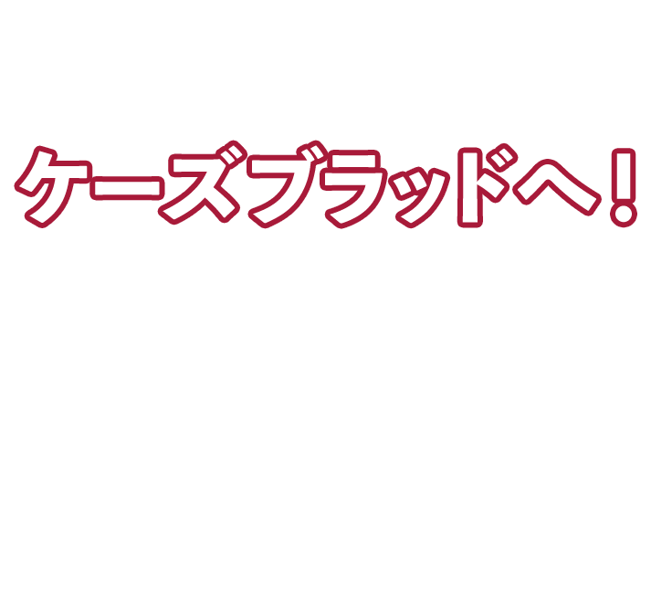 ケーズブラッドへ！